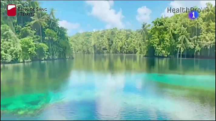 L'Informatiu - Crida a donar sang a l'estiu: les reserves cauen prop d'un 20%