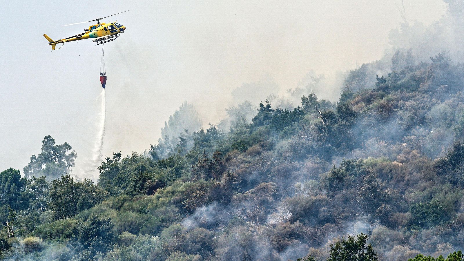 Telediario 1 en cuatro minutos - 31/07/25- RTVE.es | Ver