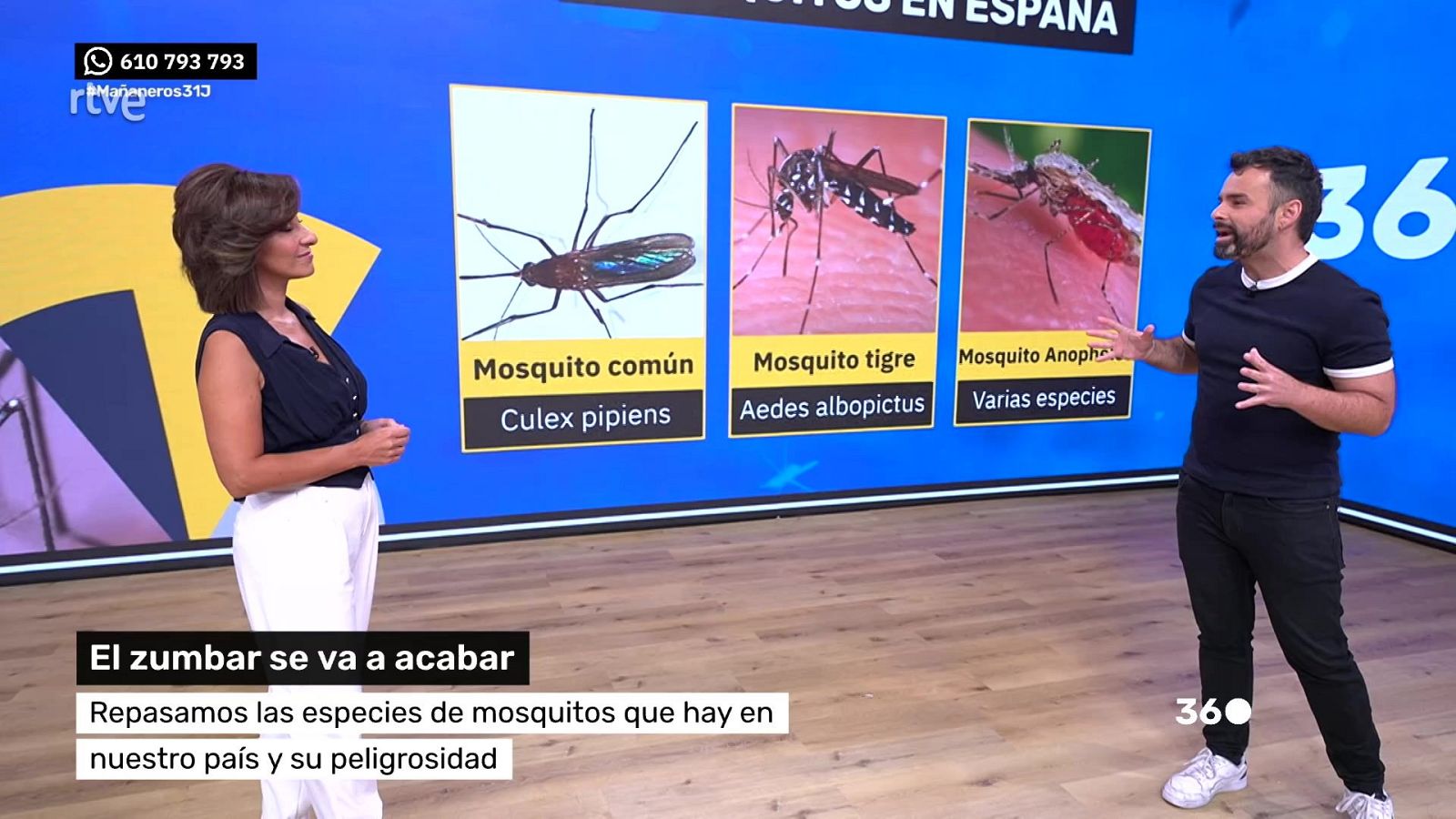 Mañaneros 360 - Programa 471 | Ver