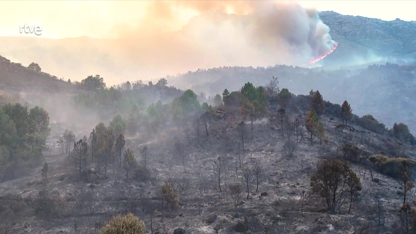 Informativo 24 horas - 20h - 31/07/25 - Informativo 24h | Ver