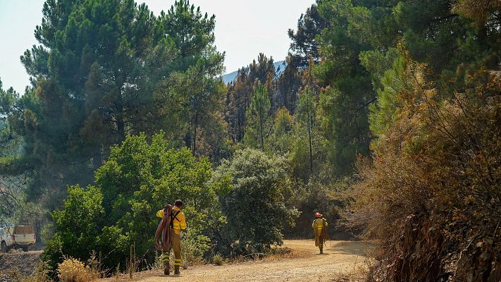 Telediario 1 - Telediario - 15 horas - 01/08/25