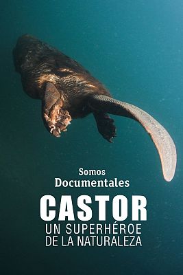 Somos Documentales - Castor, un superhéroe de la naturaleza