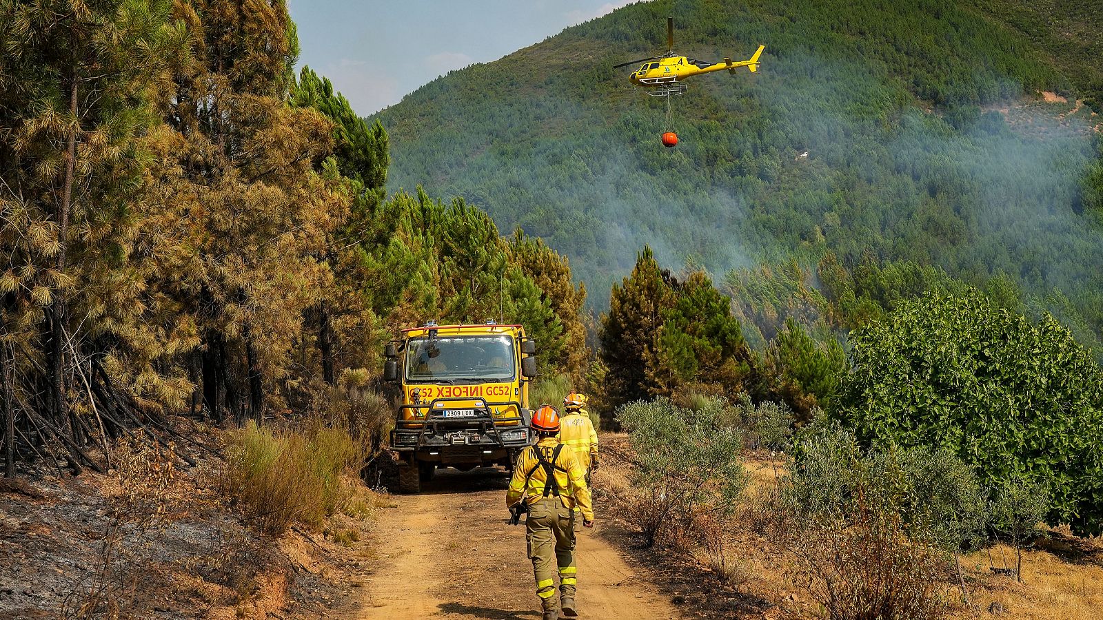 Los incendios de Las Hurdes y Ávila evolucionan favorablemente - Telediario 2 | Ver