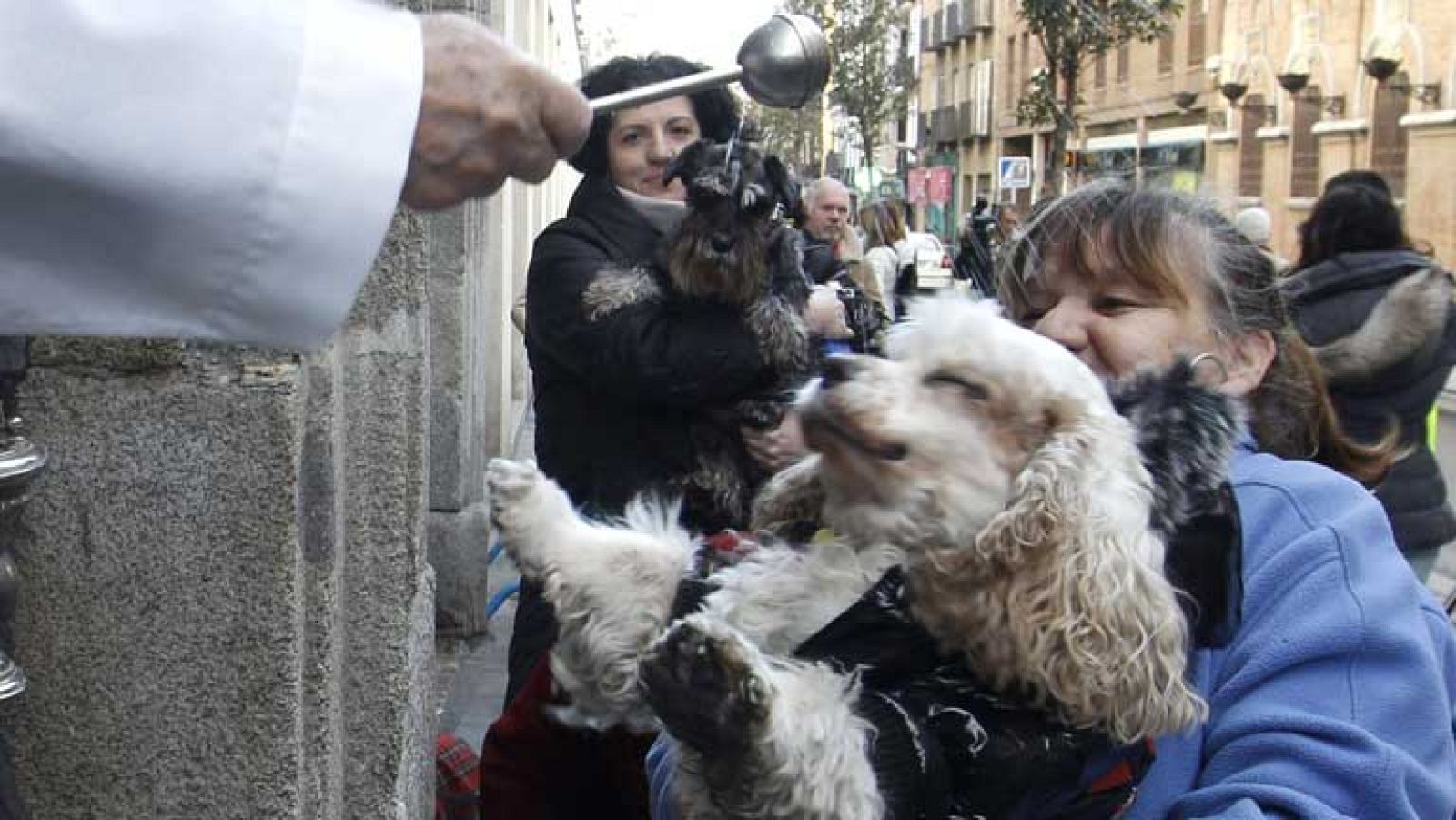 Informativo de Madrid - 17/01/13