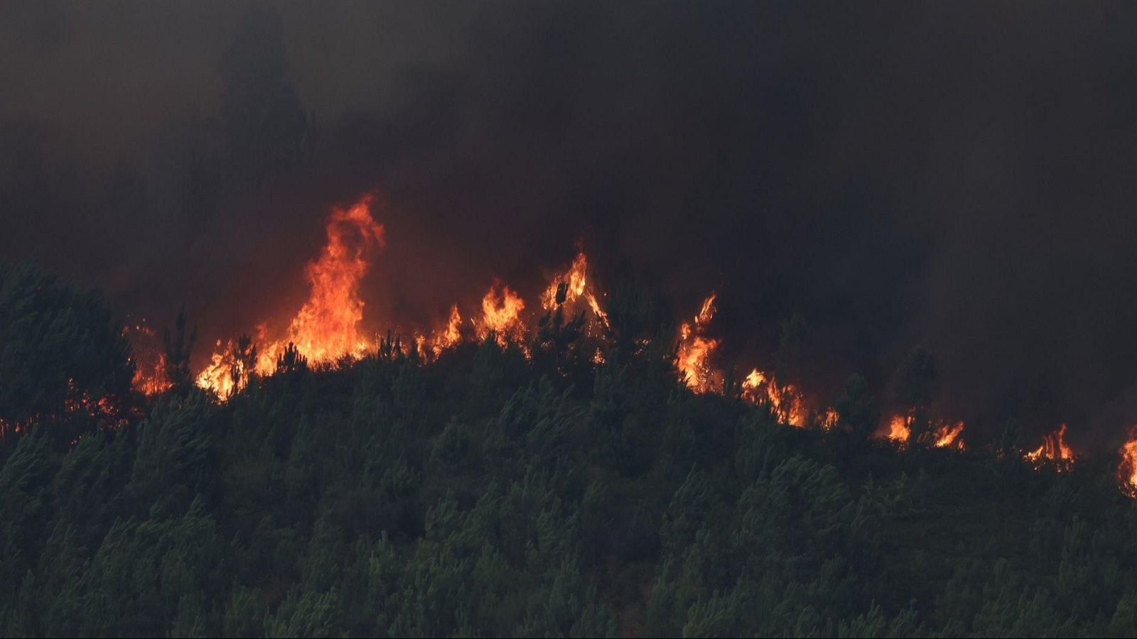 Telediario - 15 horas - 02/08/25 - Telediario Fin de Semana | Ver