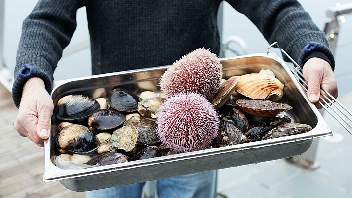 Mercados del mundo. En la panza de la ciudad - Bergen
