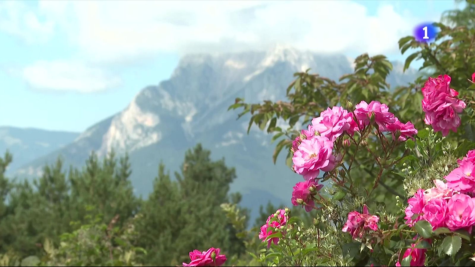 Temporada alta pel turisme rural