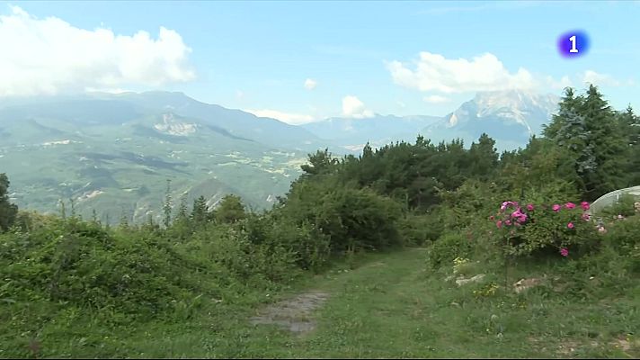 L'Informatiu - L'Informatiu - 03/08/2025