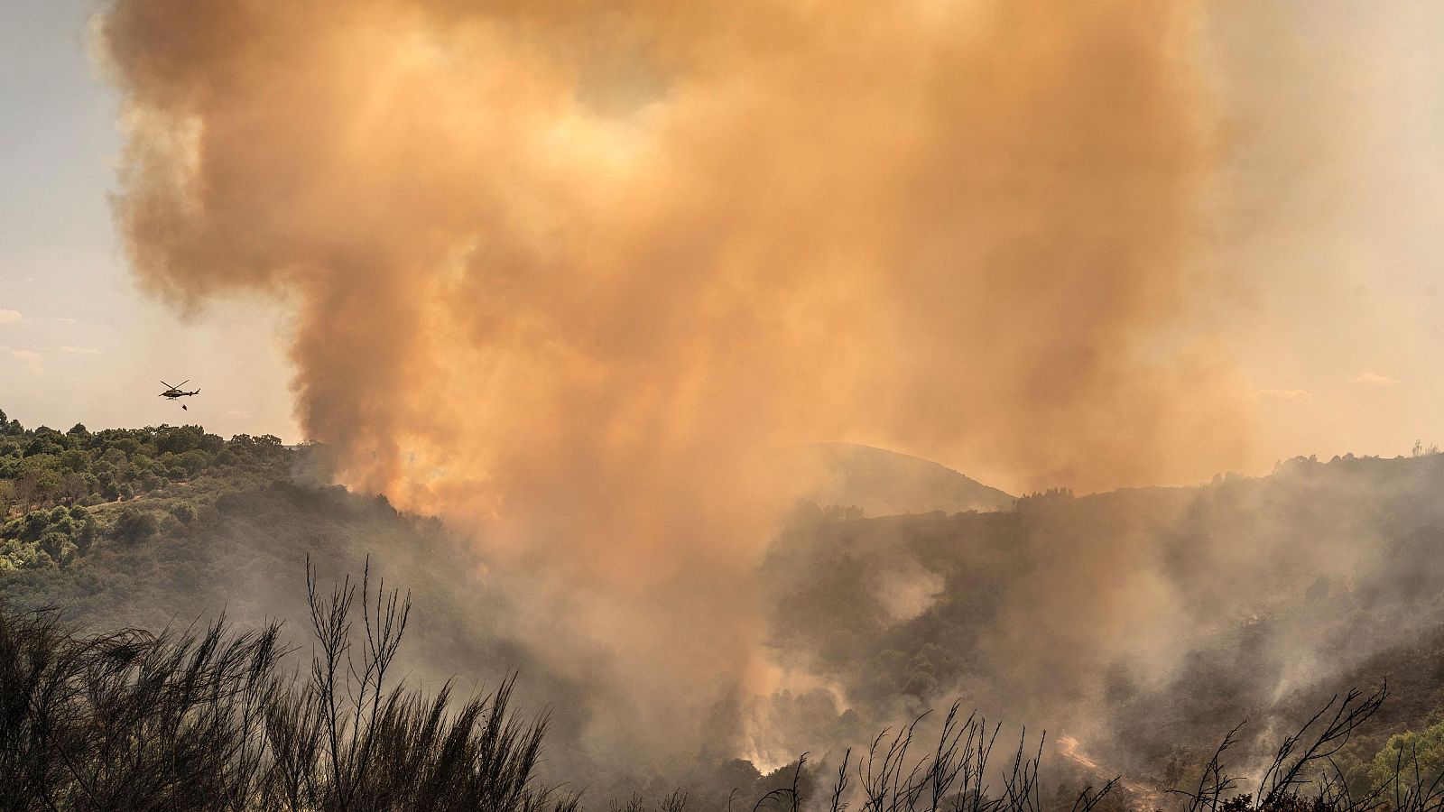El incendio en el municipio ourensano de Vilardevós sigue activo - Telediario Fin de Semana | Ver