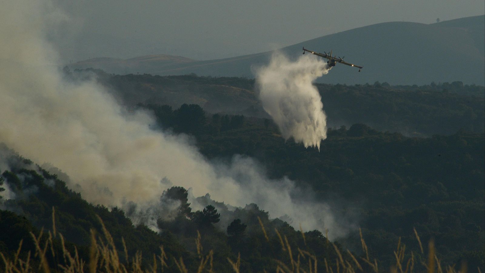 Informativo 24 horas - 20h - 03/08/25 - Fin de semana 24h | Ver