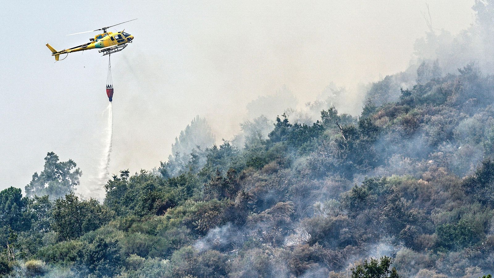 Telediario - 8 horas - 04/08/25 - Lengua de signos - Telediario en lengua de signos | Ver