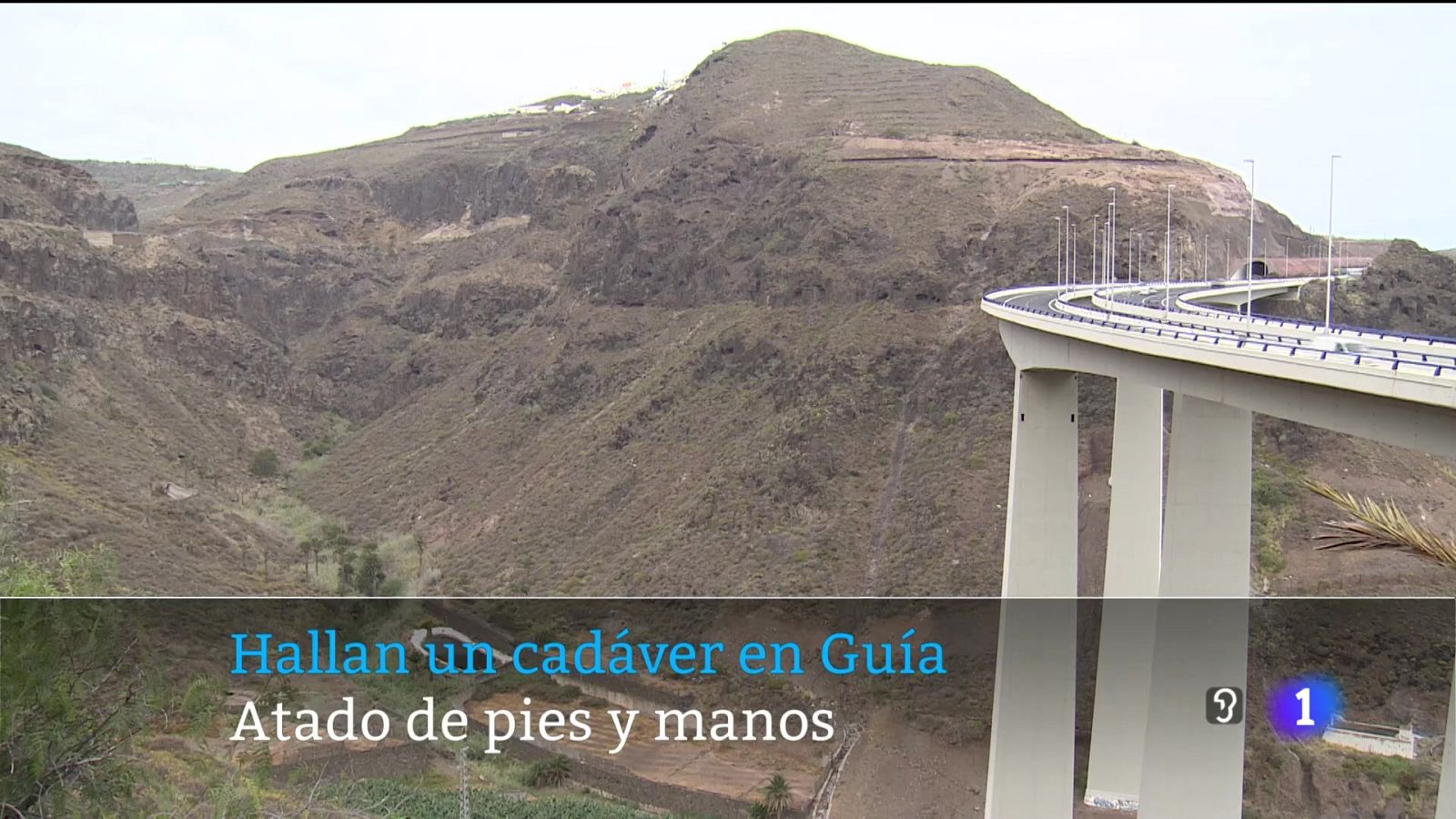 Telecanarias - 04/08/2025 | Ver