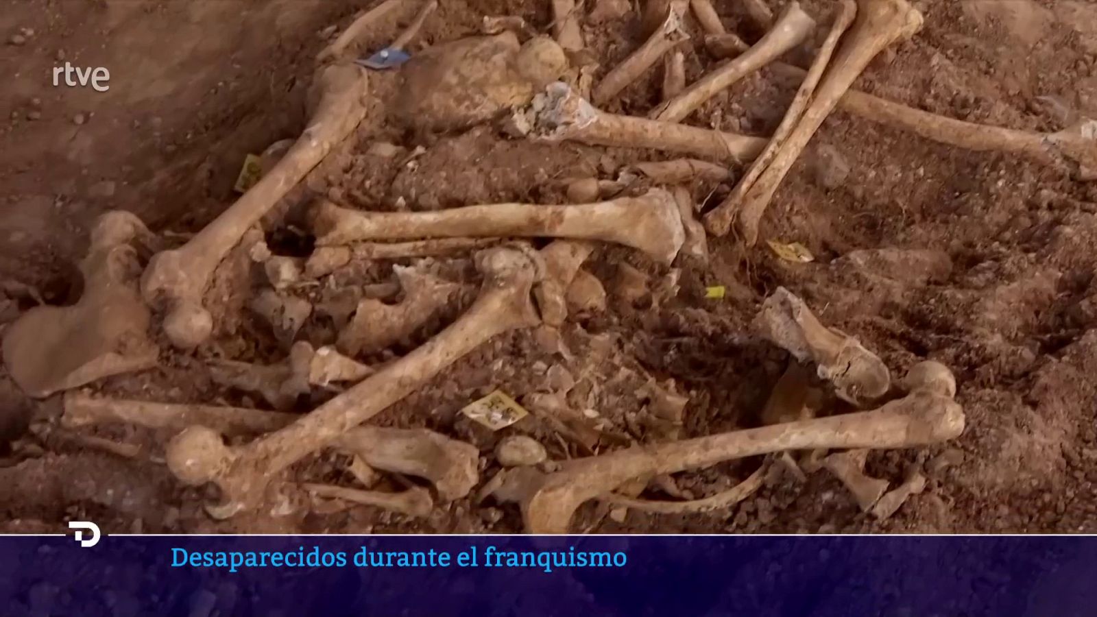 Exhumaciones de miles de cuerpos en la fosa de Pico Reja (Sevilla) | Ver ahora