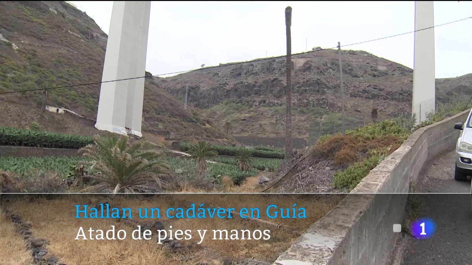 Canarias en 2' - 04/08/2025 | Ver