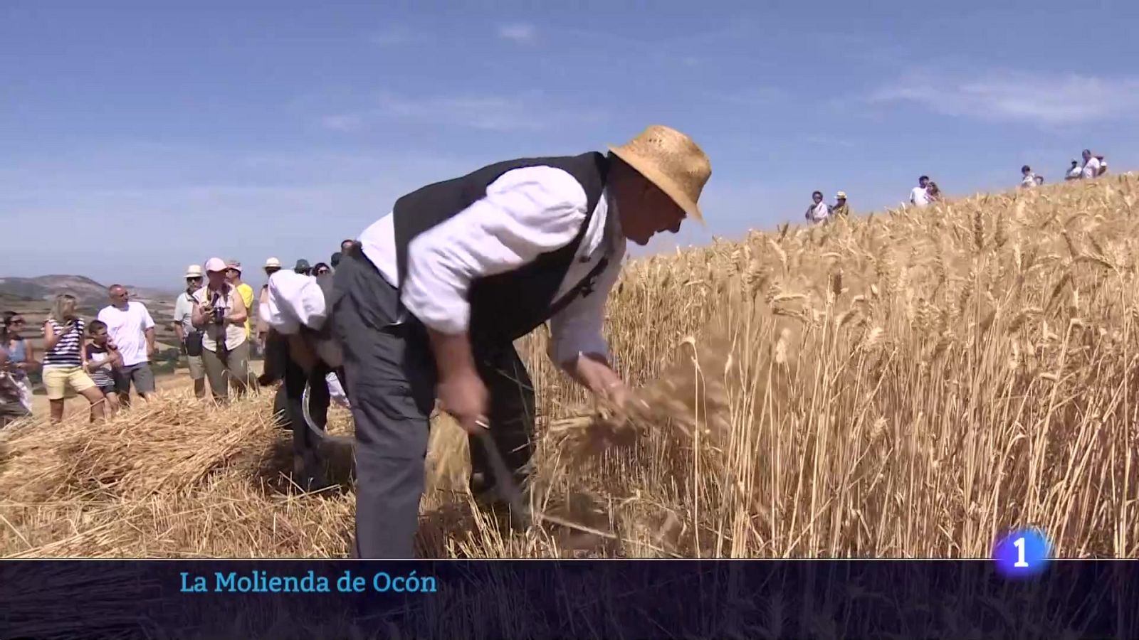 Informativo Telerioja 2 - 04-08-2025 - Informativo Telerioja | Ver