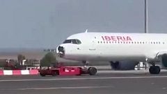Un buitre impacta contra un avión y obliga a realizar un aterrizaje de emergencia en Madrid