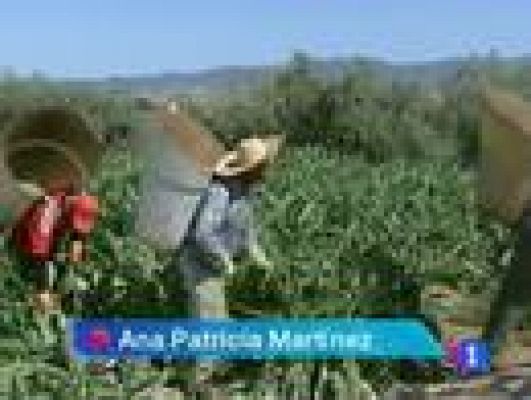 Noticias Murcia - Noticias Murcia 2.(17/01/2013).