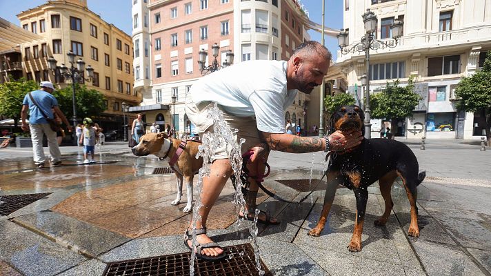 El tiempo - El calor y el oleaje activan este martes los avisos en 33 provincias