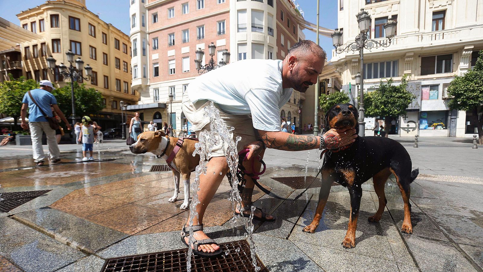 El calor y el oleaje activan este martes los avisos en 33 provincias - El tiempo | Ver