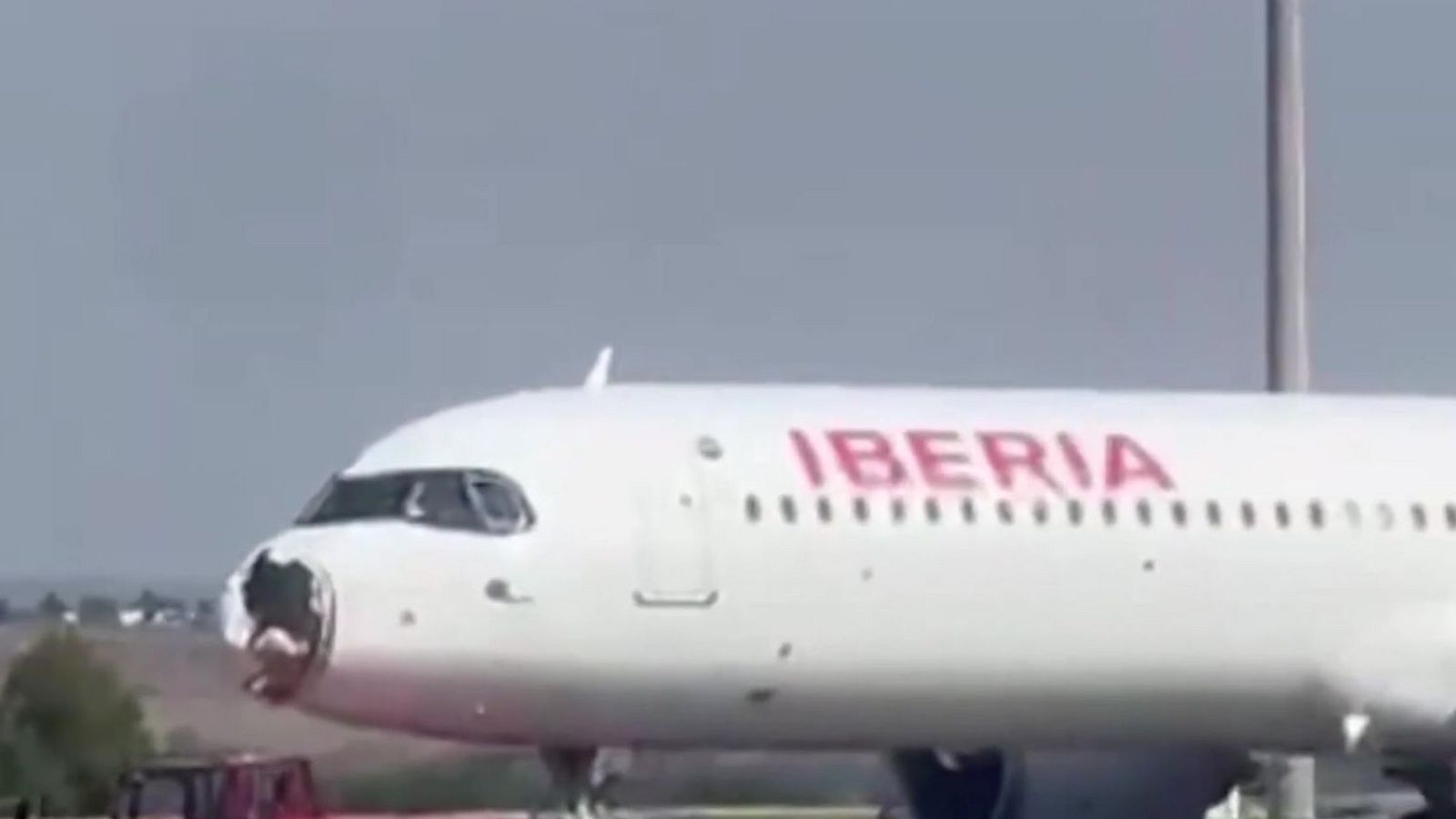 Un ave impacta contra un avión y aterriza de emergencia - Mañaneros 360 | Ver