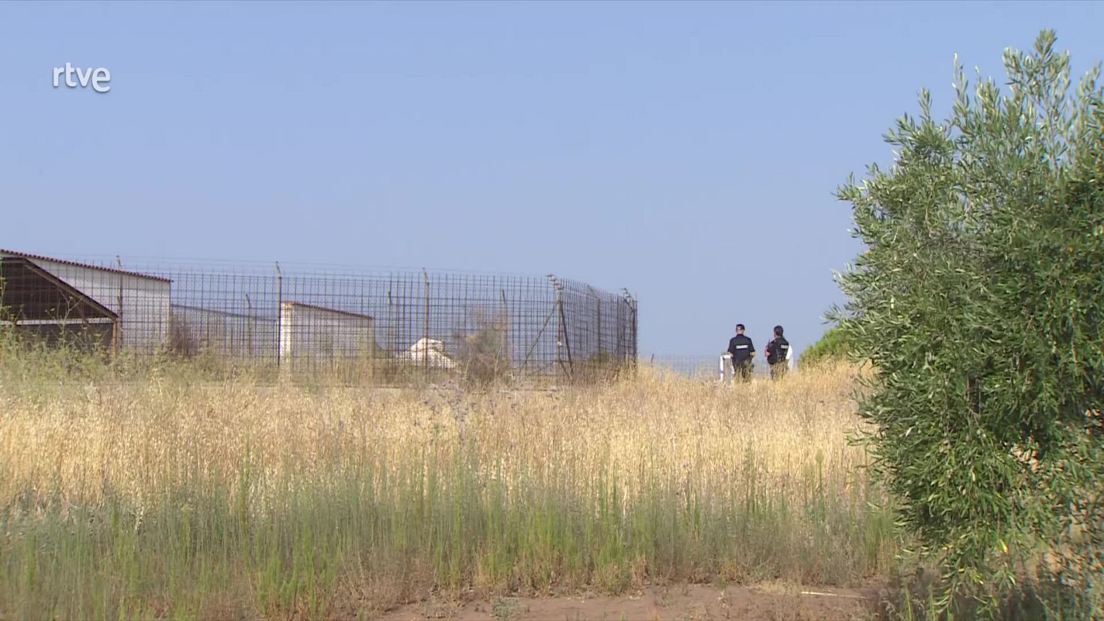 Diario 24 - 05/08/25 - Diario 24 | Ver