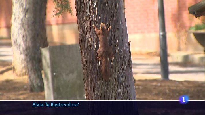 Informativo Telerioja - Informativo Telerioja 05-08-2025 Ver ahora