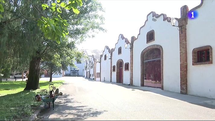 L'Informatiu - Raimat enceta la verema a les portes d'una onada de calor