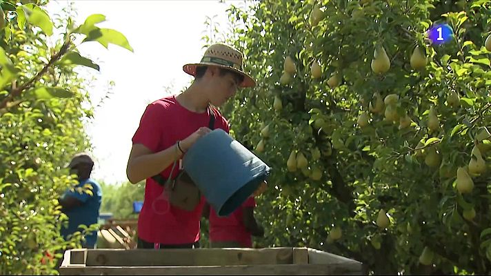 L'Informatiu - L'Informatiu - 05/08/2025