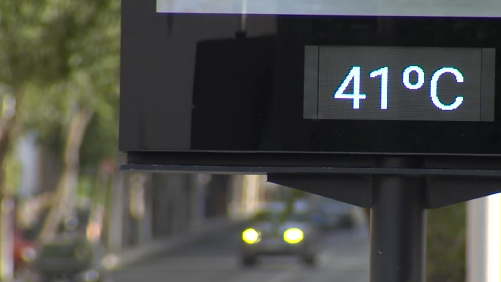 Altas temperaturas: agravan patologías y disparan muertes | Ver