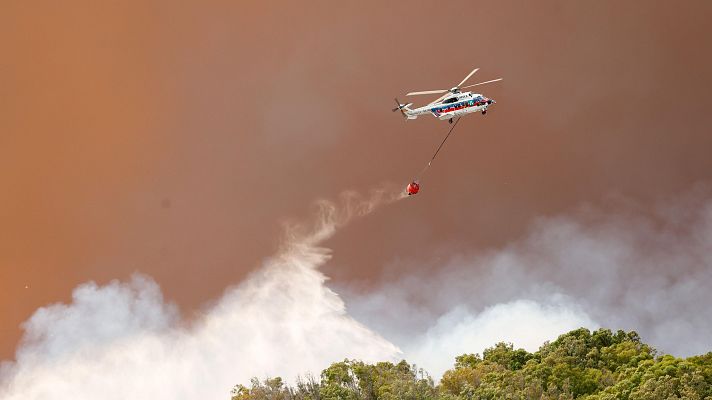 Diario 24 - Continúa la lucha contra el incendio forestal en Tarifa, Cádiz