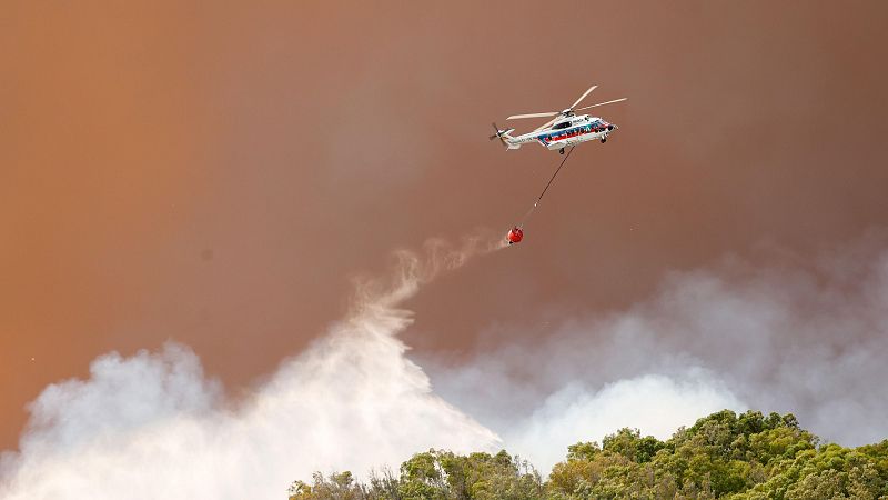 Continúa la lucha contra el incendio forestal en Tarifa, Cádiz - Diario 24 | Ver