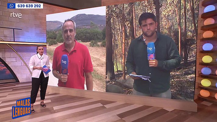 Malas lenguas - Programa 114