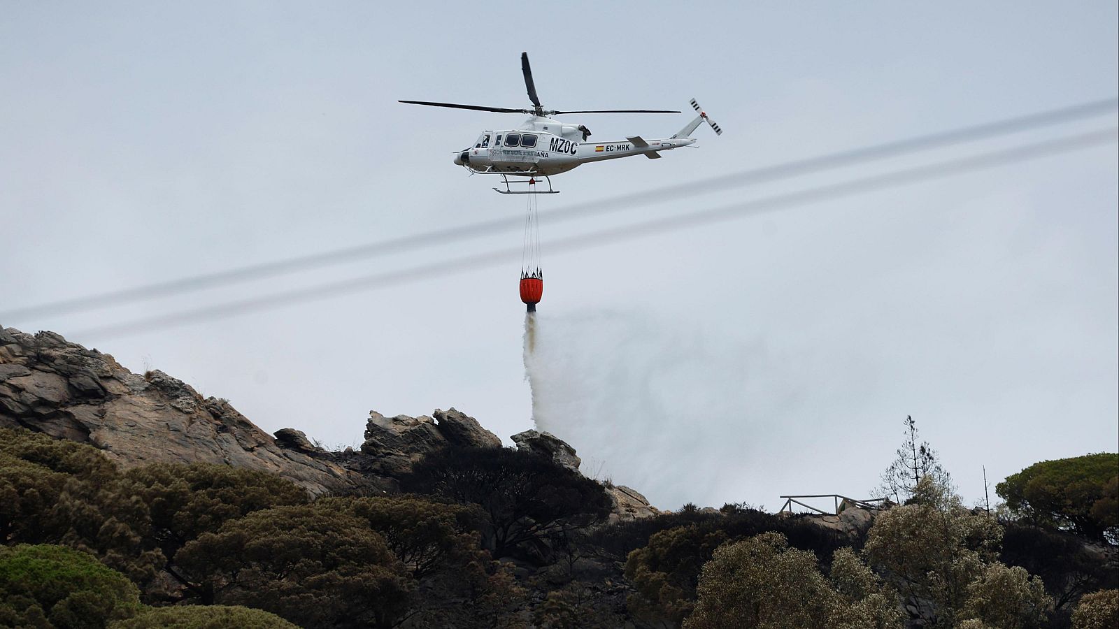 Estabilizado el incendio forestal declarado en Tarifa, Cádiz - Informativo 24h | Ver