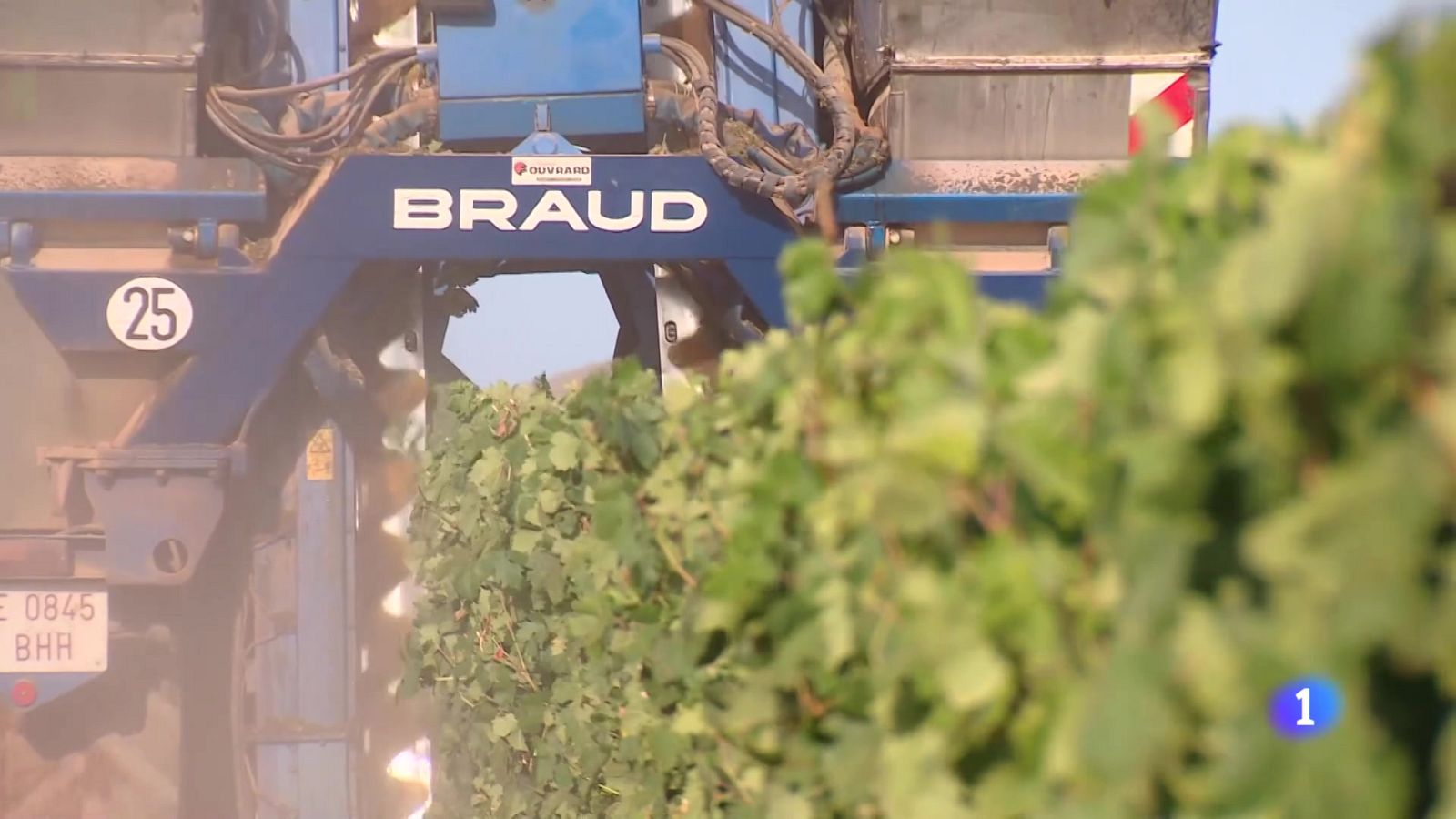 Informativo Telerioja - 07-08-2025 - Informativo Telerioja | Ver