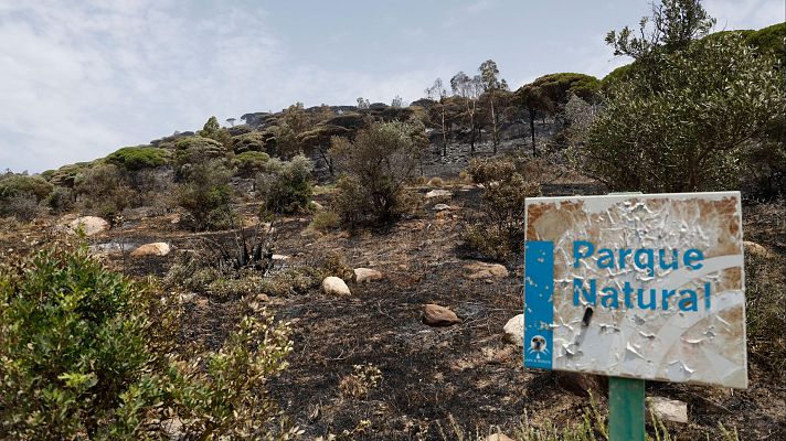 Telediario 1 - Estabilizado el incendio de Tarifa pero sigue sin estar controlado