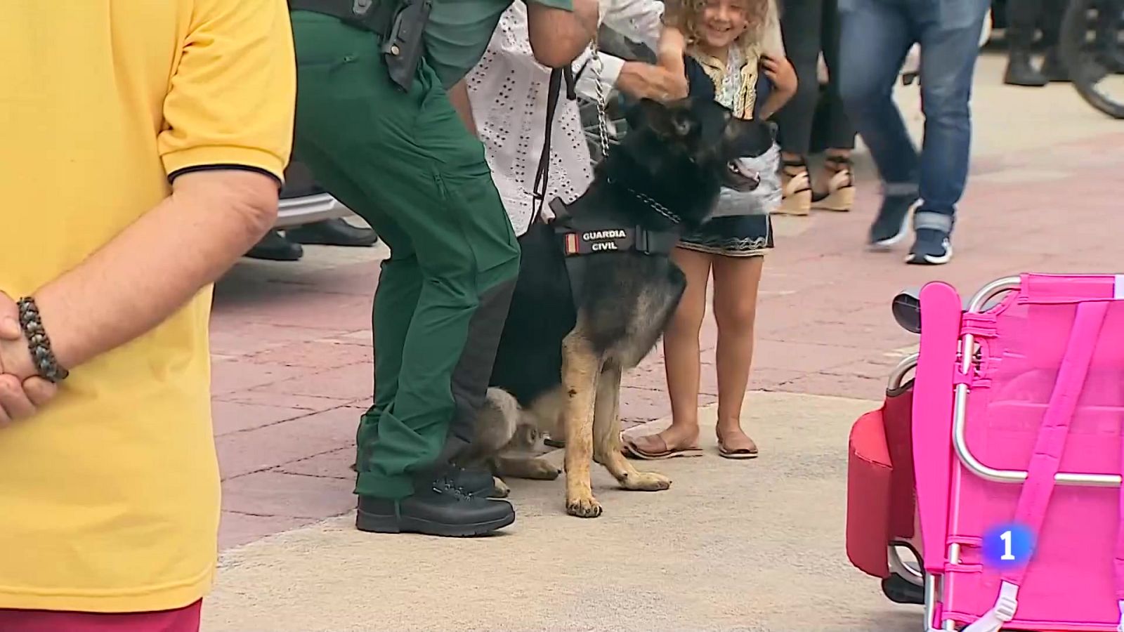 Panorama Regional - 08/08/25 | Ver