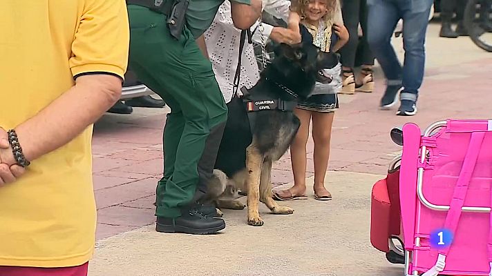 Panorama Regional - Panorama Regional - 08/08/25