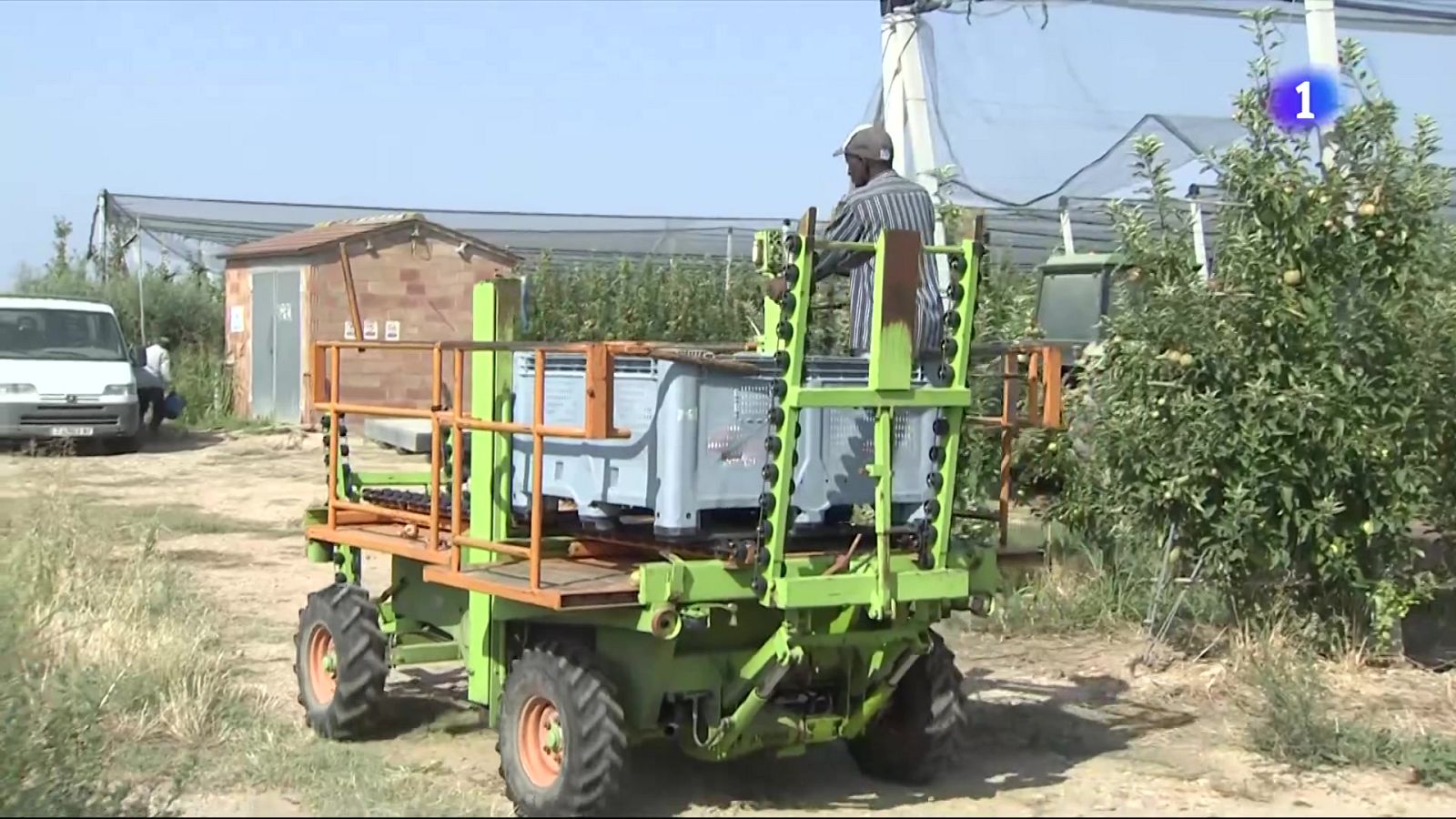 El termòmetre s'enfila fins als 40 graus a Ponent