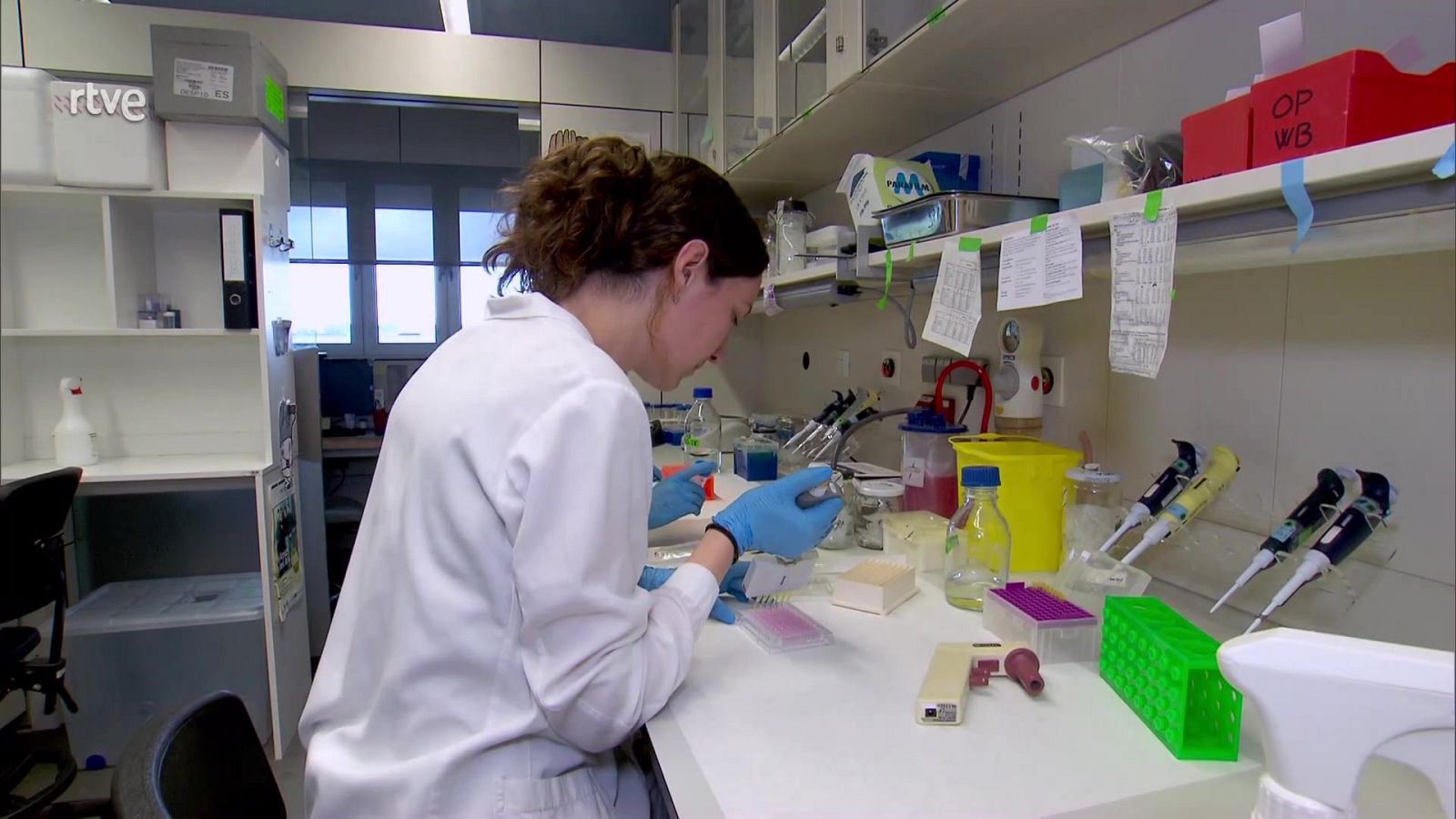 Información sobre Loterías | "La suerte en tus manos" de RTVE - Loterías | Ver