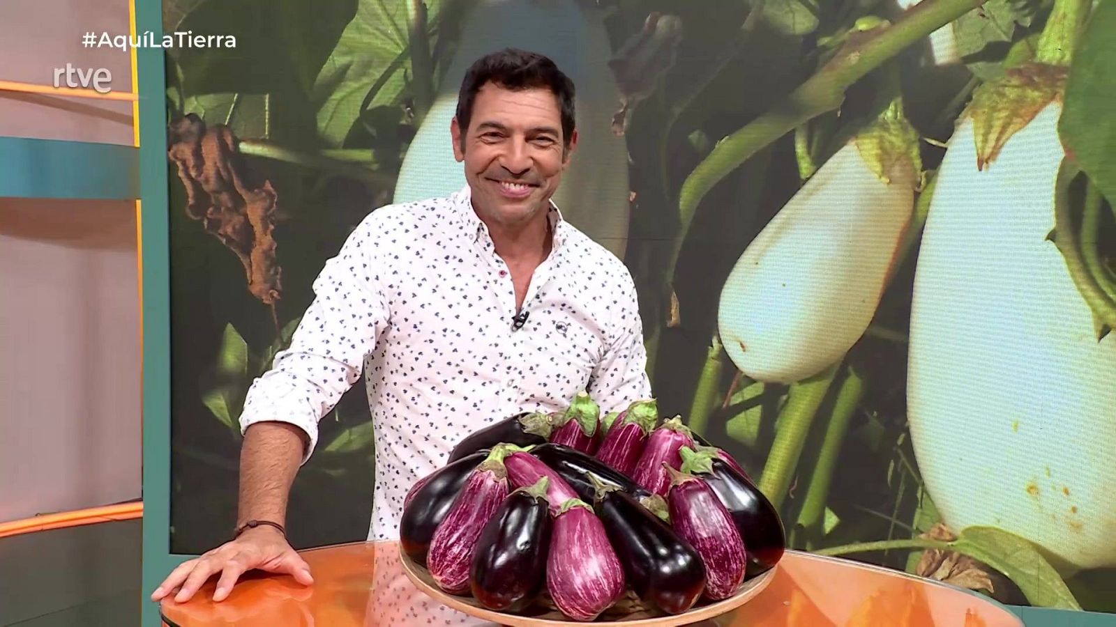 Aquí la Tierra - 10/08/25 - Aquí la Tierra | Ver