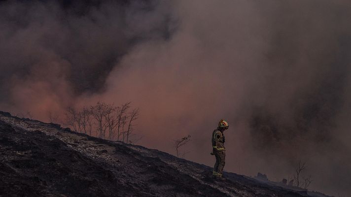Telediario en lengua de signos - Telediario - 8 horas - 11/08/25 - Lengua de signos