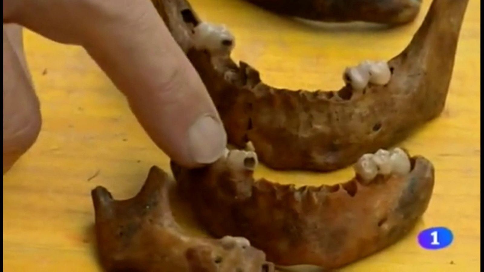 Exhumación de restos de la Sima de Legarrea (Donamaría) | Ver ahora