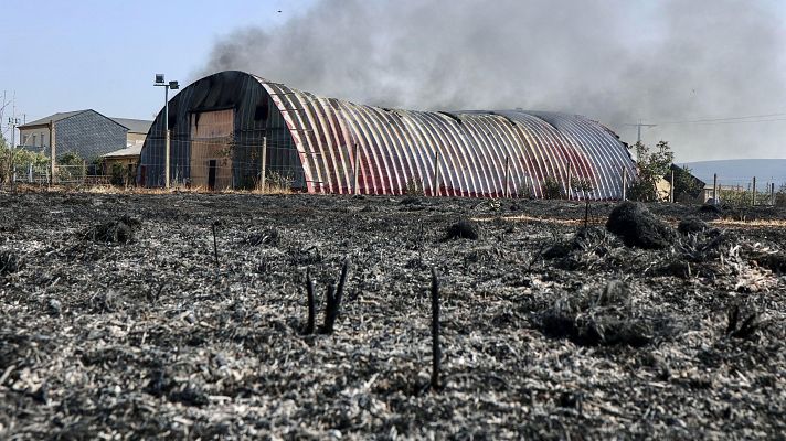 Informativo 24h - Informativo 24 horas - 14h - 11/08/25