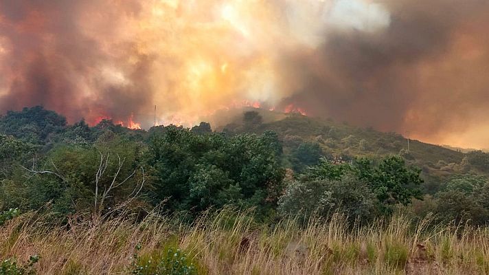 Telediario - 15 horas - 11/08/25