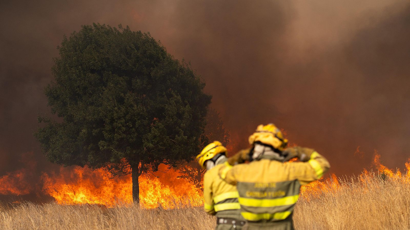Castilla y León resiste ante la ola de incendios que amenaza el paraje de Las Médulas - Telediario 1 | Ver