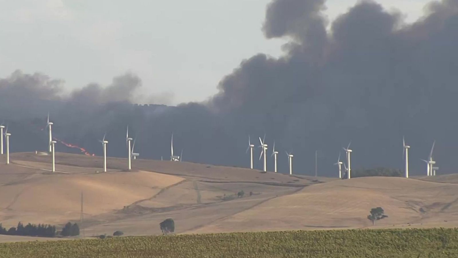 Informativo 24 horas - 20h - 11/08/25 - Informativo 24h | Ver