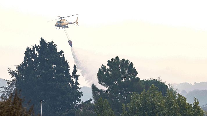 La hora de La 1 - Una vecina desalojada por el incendio de Tres Cantos: “Salimos con los coches y los perros nada más”