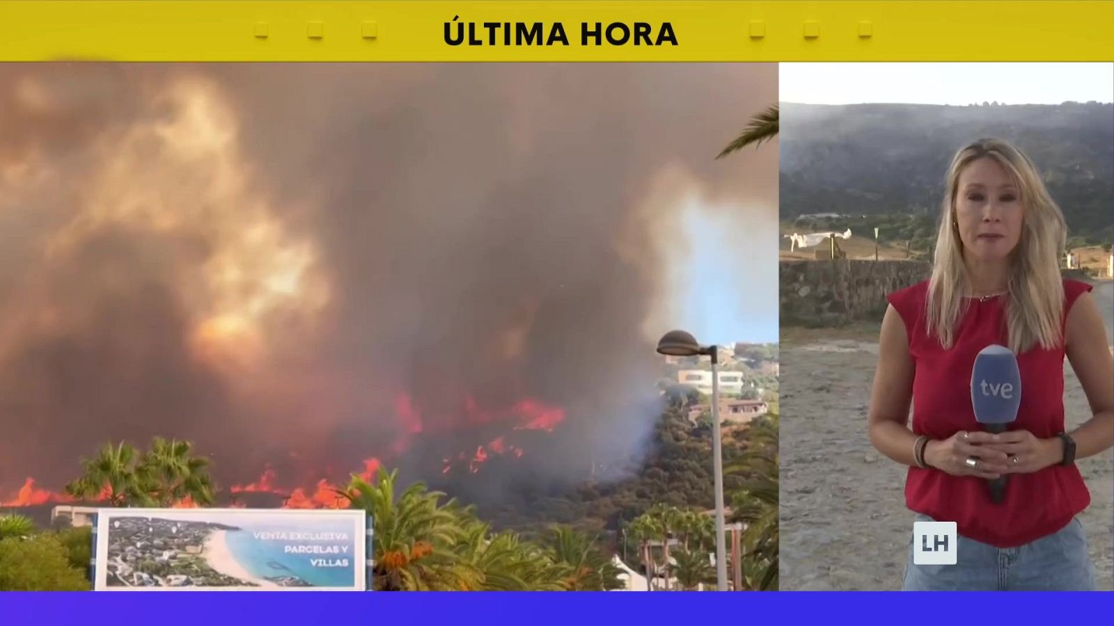 La hora de La 1 - 12/08/25 - La hora de La 1 | Ver