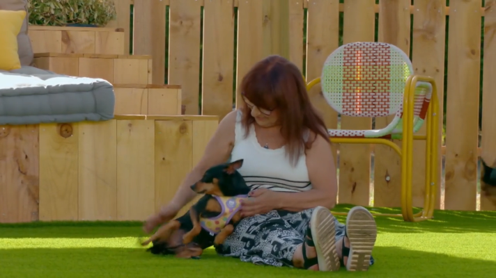 Dog House - Herminia: mucho baile y muchos perritos