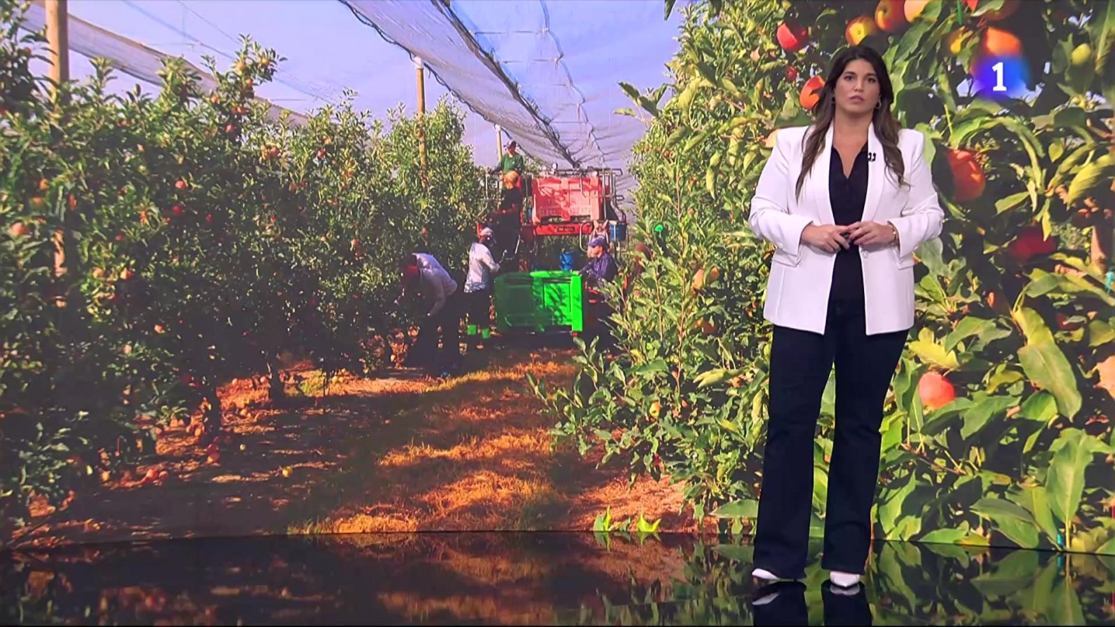 Mor un temporer a Alcarràs en plena onada de calor